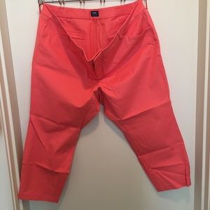 Old navy pixie pants